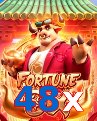 48x